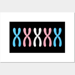 Trans Chromosomes Posters and Art